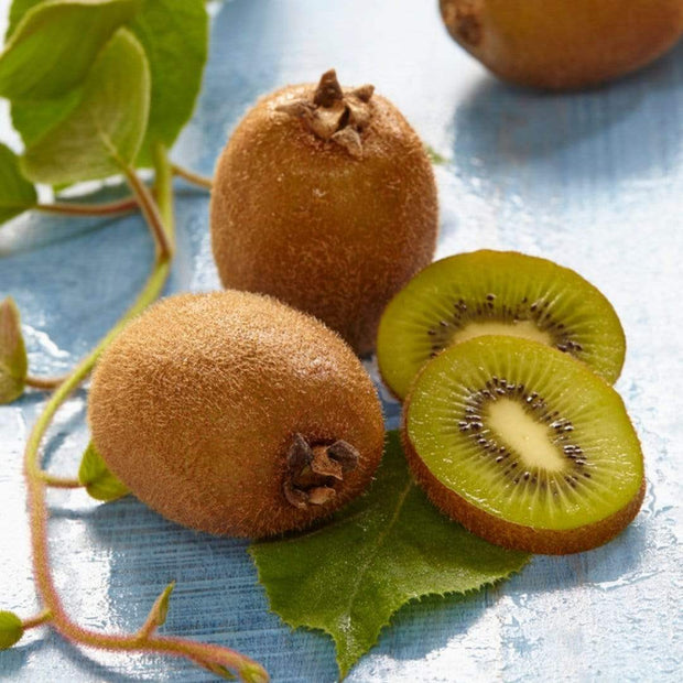 Jenny Hardy Kiwi Plant Soft Fruit