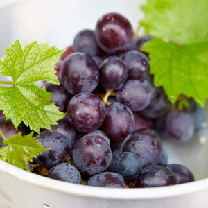 90cm 'Muscat Blue' Grape Vine | 3L Pot Soft Fruit