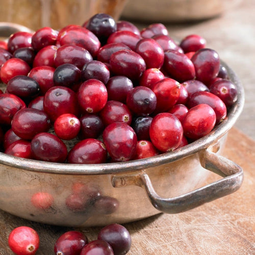Cranberry Plant Soft Fruit