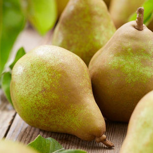 Doyenné Du Comice Pear Tree Fruit Trees