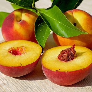 Peregrine Peach Tree Fruit Trees