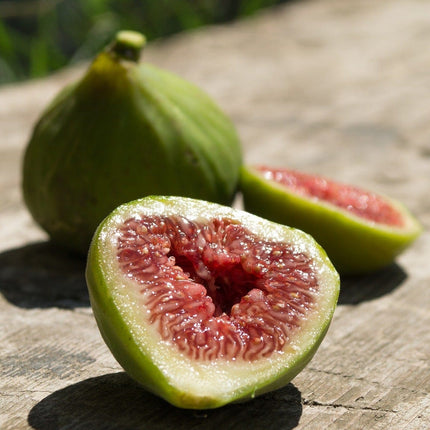 Dalmatie Fig Tree Soft Fruit
