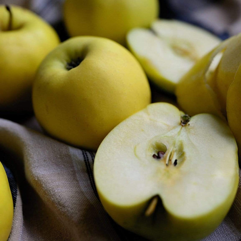 Herefordshire Russet Apple Tree Fruit Trees