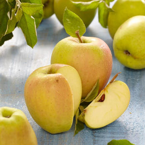 Golden Delicious Apple Tree Fruit Trees