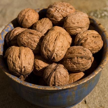 Europa' Walnut Tree Fruit Trees