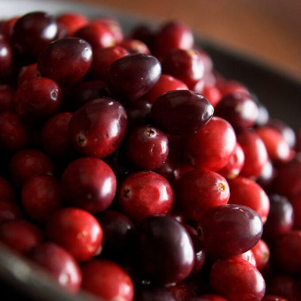 Early Black' Cranberry Bush Soft Fruit