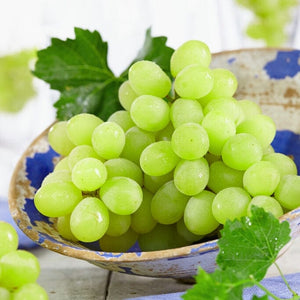 'Orion' Grape Vine Soft Fruit