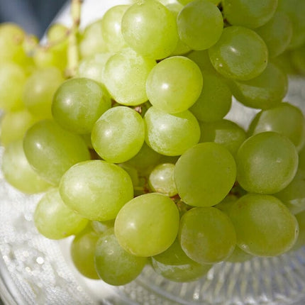 'Perlette' Grape Vine Soft Fruit