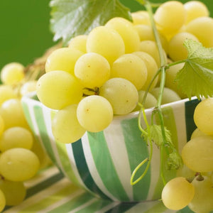 'Muscat of Alexandria' Grape Vine Soft Fruit