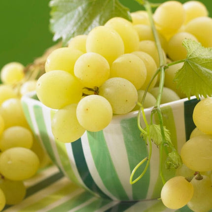 'Muscat of Alexandria' Grape Vine Soft Fruit