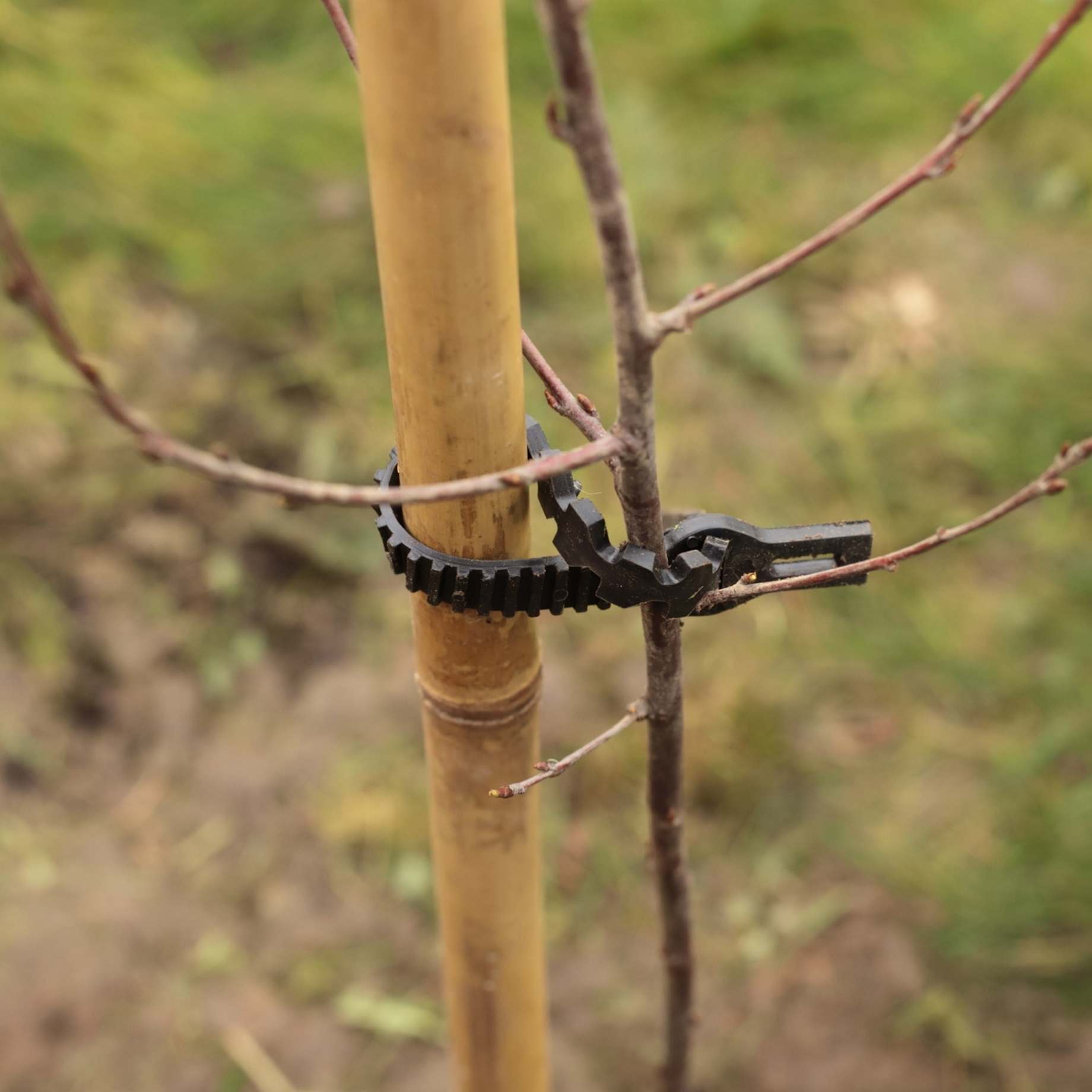 Extra Strong Tree Stake & Supersoft Tie