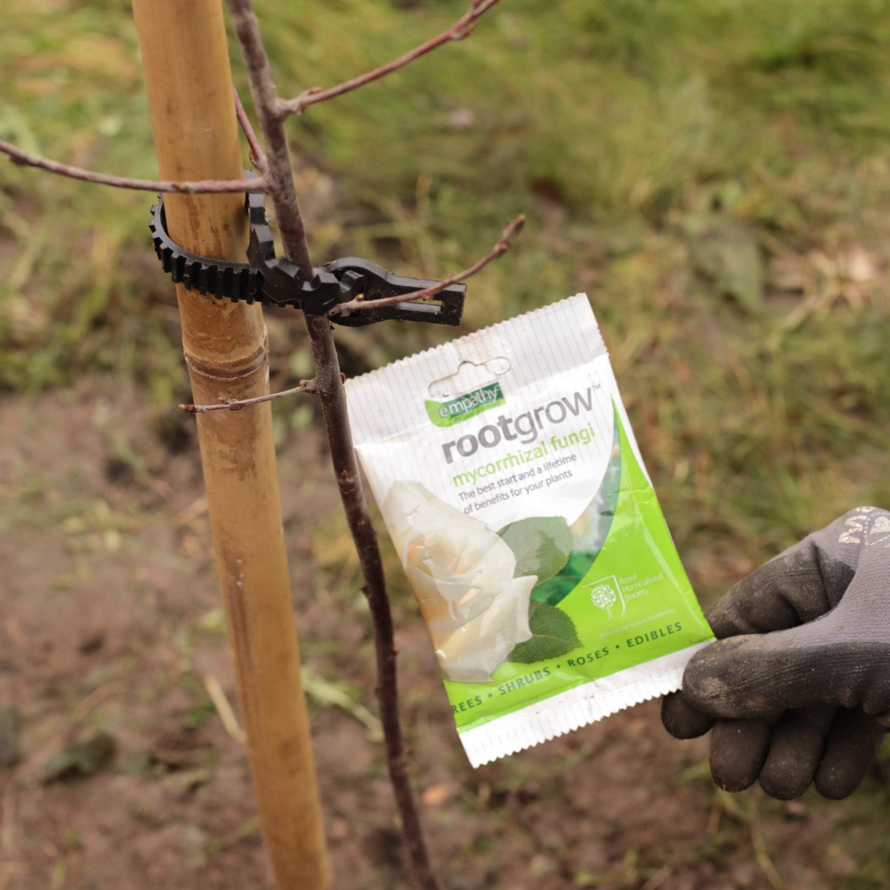 Full Tree Planting Kit | Extra Strong Stake, Supersoft Tie & Rootgrow™