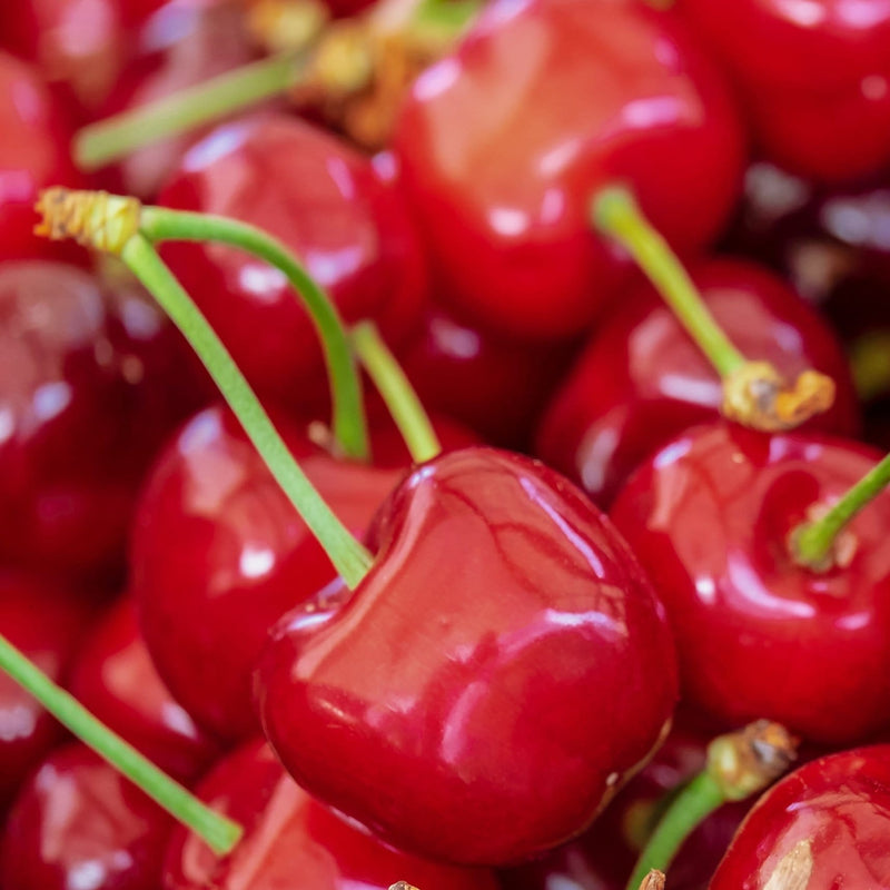 Sweetheart ' Cherry Tree Fruit Trees