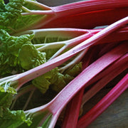 Champagne' Rhubarb Plant Soft Fruit