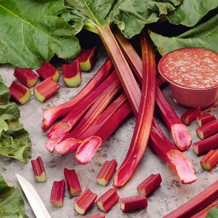 Timperley Early' Rhubarb Plant Soft Fruit