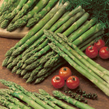 Guelph Millennium' Asparagus Plant Soft Fruit