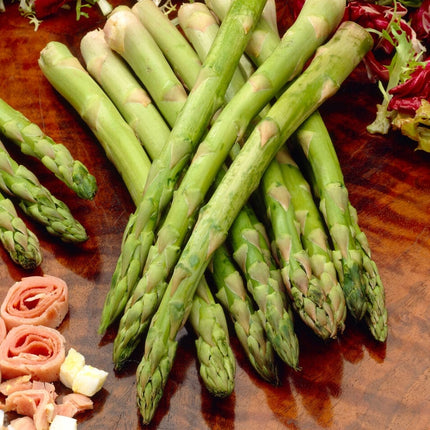 Pacific 2000' Asparagus Plant Soft Fruit