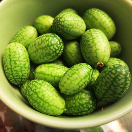 Cucamelon Plants Vegetables