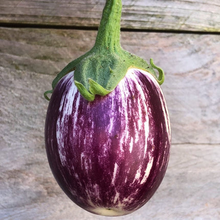 Pinstripe Aubergine Plants Vegetables