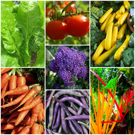 58 Colourful Vegetable Plants | Eat the Rainbow Vegetable Plants