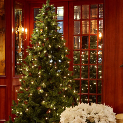 5ft Premium Cut Real Christmas Tree | Fraser Fir Christmas Trees