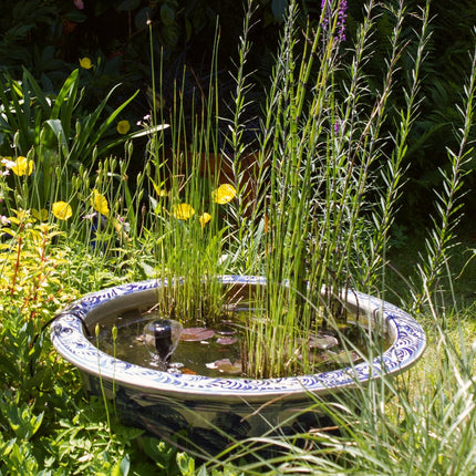 Pond In A Pot Planting Kit | Oxygenating & Wildlife | Flowers & Structure Pond Plants