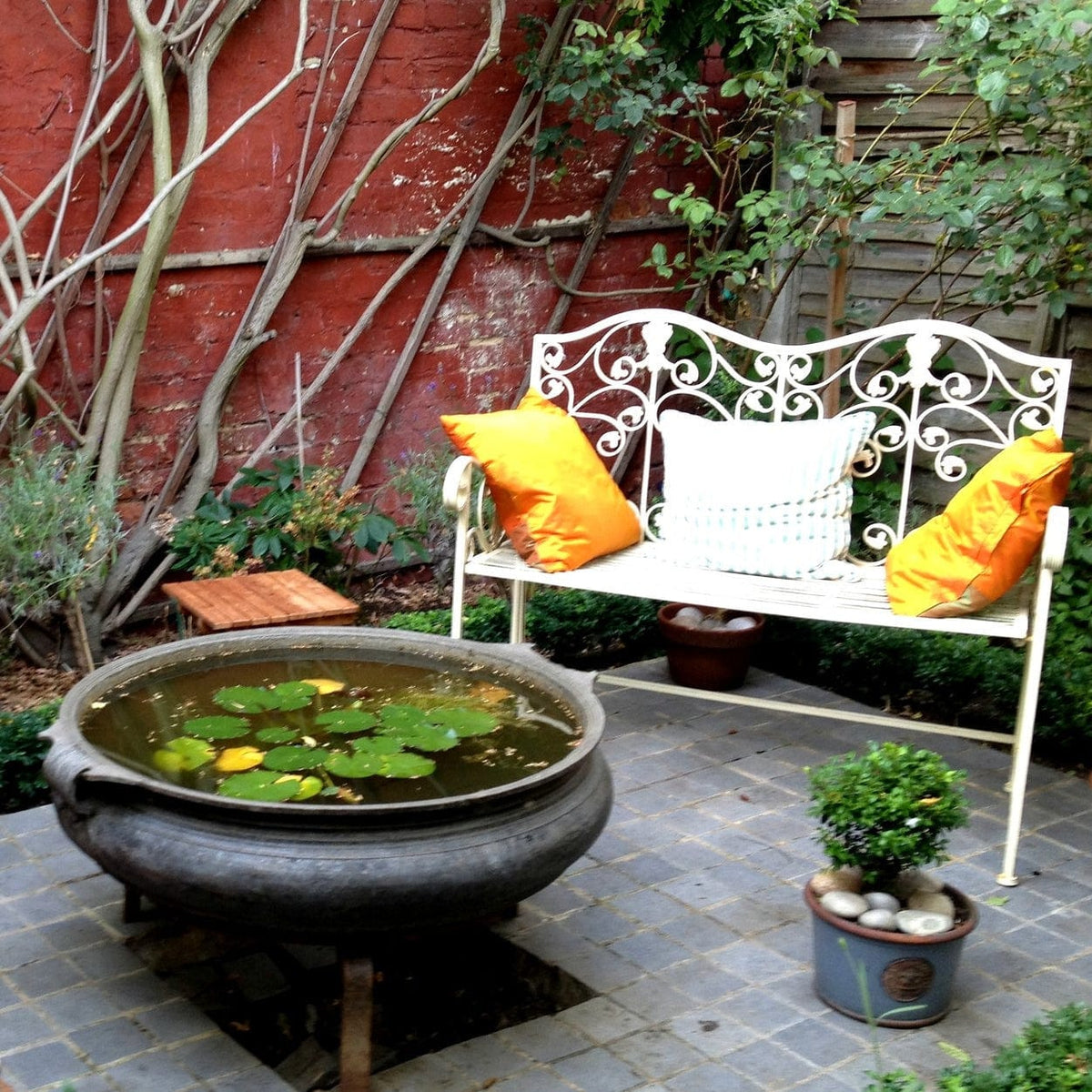 Pond In A Pot Planting Kit Oxygenating & Wildlife Flowers