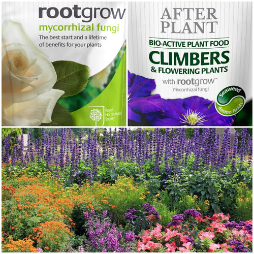 Complete Perennial Care Pack | Empathy Rootgrow™ & Perennial AfterPlant™ Perennial Bedding