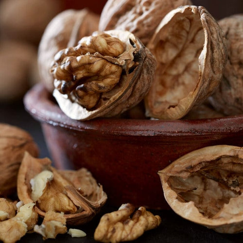 Walnut Tree | Juglans regia Fruit Trees