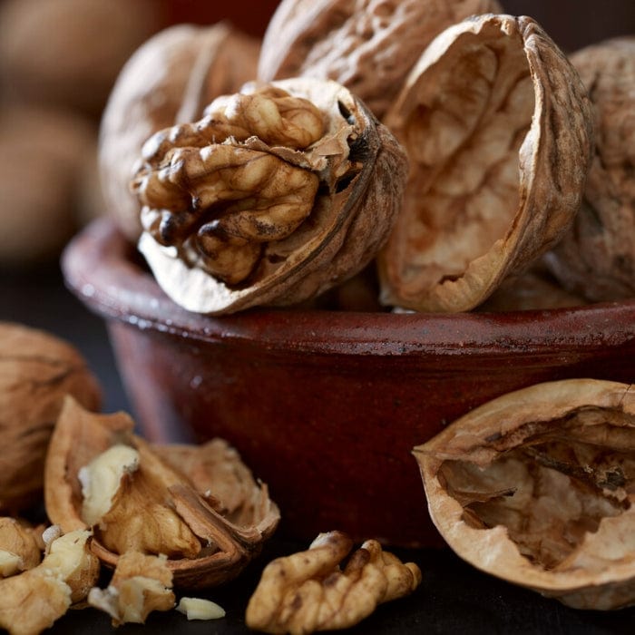 Walnut Tree | Juglans regia Fruit Trees